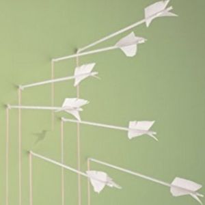 Meet your Posher, Clayton